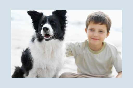 Op de foto met je huisdier