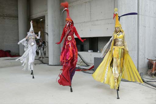 Steltloopster in rode kleur
