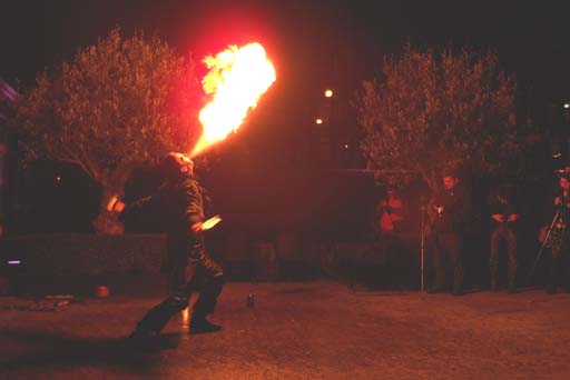 Jongleurs en Vuurspuwers